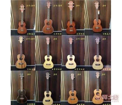 北京巴比亞鋼琴專營(yíng)店 您的樂器綜合服務(wù)伙伴